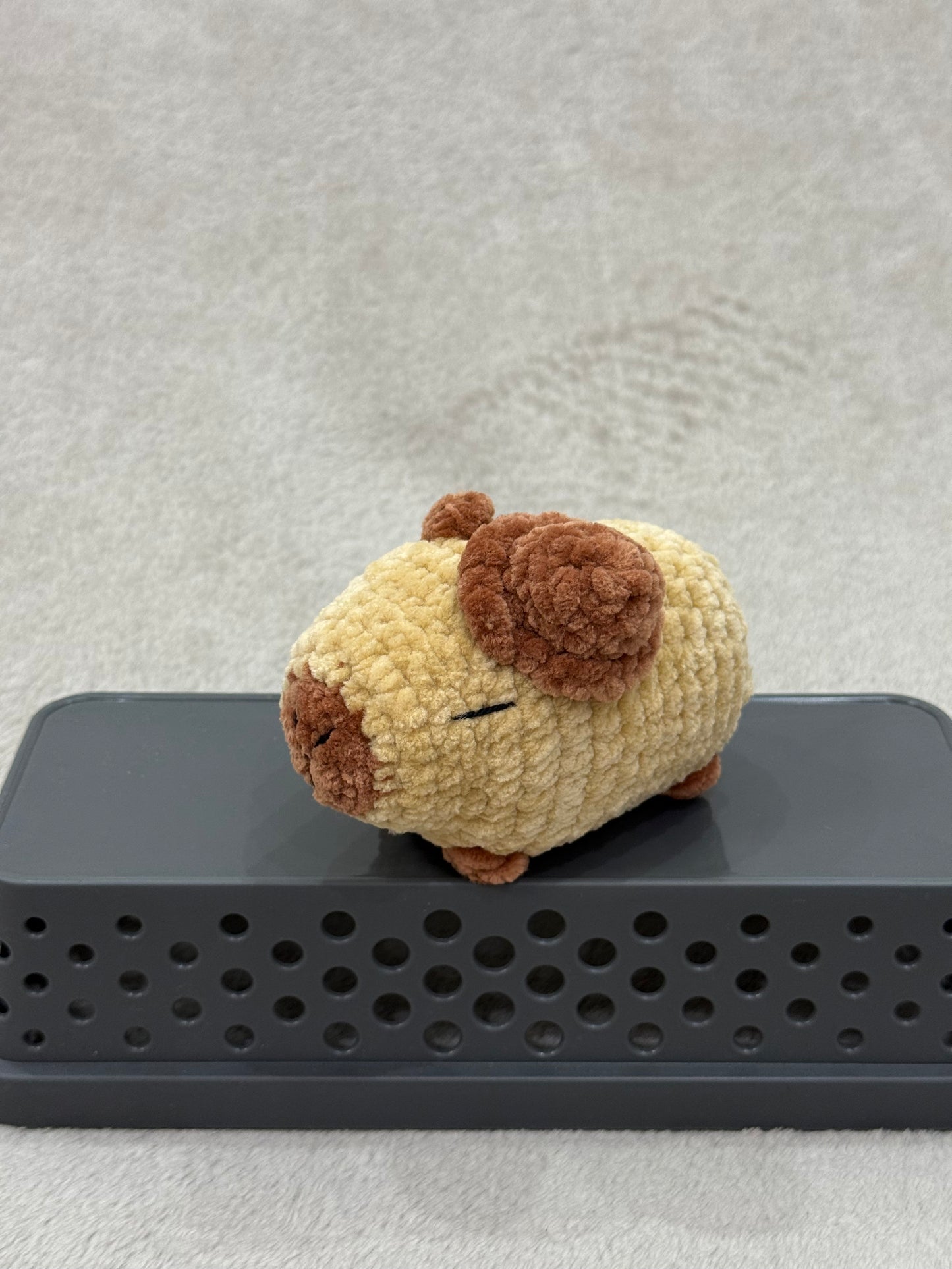 Capybara - kalappal