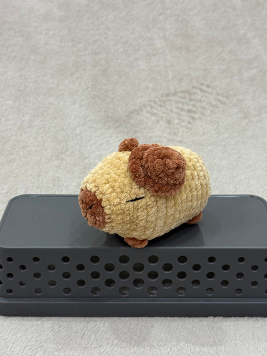 Capybara - kalappal