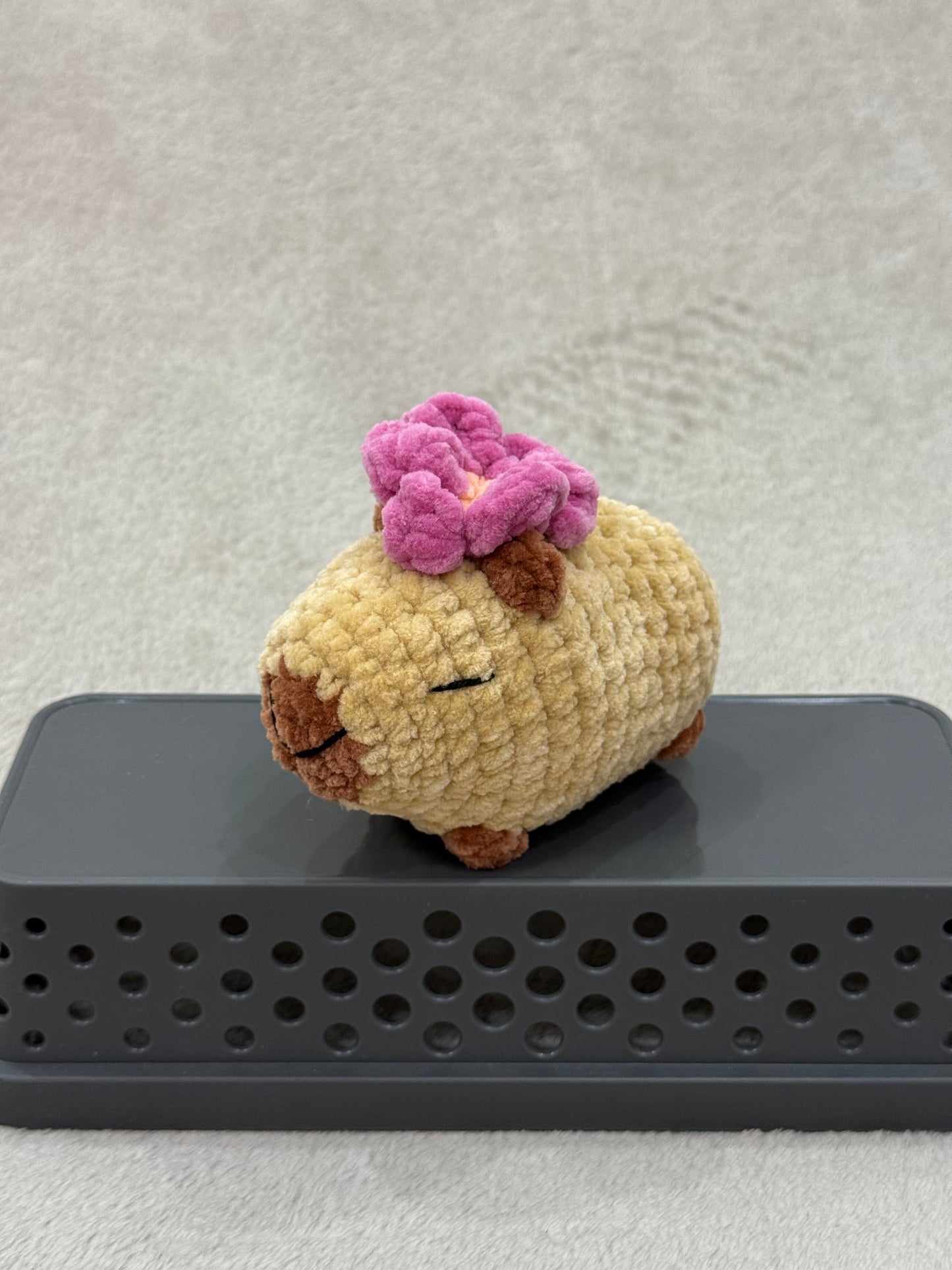 Capybara - virággal
