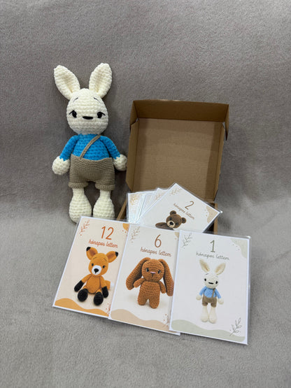 Bundle: hónapkártya csomag + választható plüss
