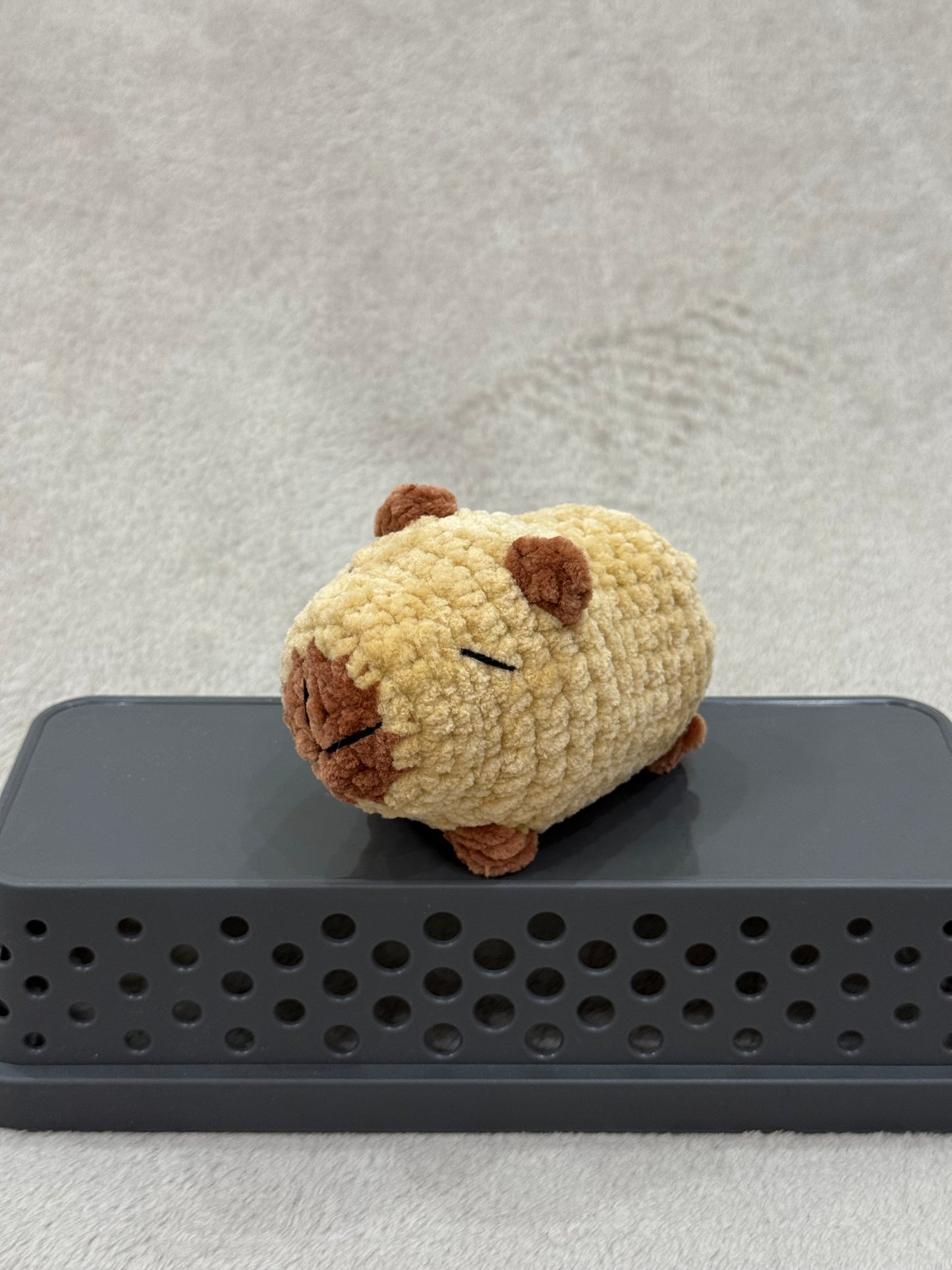 Capybara